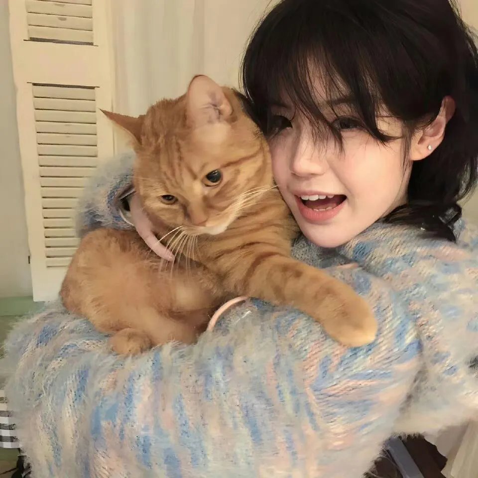 玩命快递:肆意横行